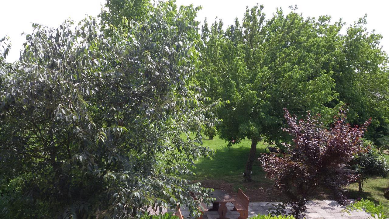 Villa Agriturismo La Pace Valeggio sul Mincio Exterior foto